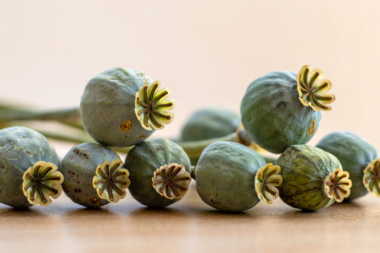 Мотивация зависимых на лечение Врач проводит консультацию